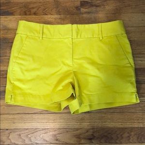 Loft The Riviera Short